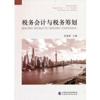税务会计与税务筹划