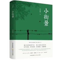 小街景（名家木刻插图,精装,配精美书签。吴佳骏“微尘三部曲”散文系列之一。张炜、东西、阎晶明、谢有顺、汪政、何平倾情推荐。