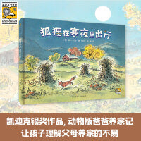 狐狸在寒夜里出行