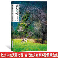 遇见树（当代散文名家苏沧桑精选集）俞敏洪、李敬泽、阎晶明、麦家诚挚推荐