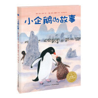 海豚绘本花园小企鹅的故事平装3-6岁儿童亲子共读哲理绘本幼儿园宝宝早教启蒙图画书