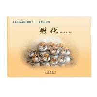 长白山动物科普绘本——中华秋沙鸭·孵化