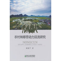 农村转移劳动力回流研究