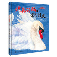 我的飞鸟朋友:疣鼻天鹅的新朋友
