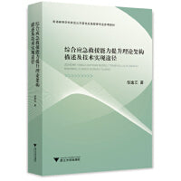 综合应急救援能力提升理论架构描述及技术实现途径