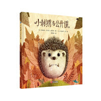 小刺猬与公开课