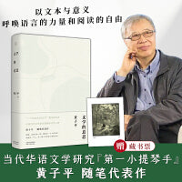 文学的意思（著名文学评论家黄子平代表作  随书附赠藏书票一枚）