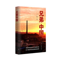 兄弟中国（探究中国企业海外发展之道、记录中巴兄弟铜浇铁铸之情）
