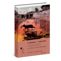 潜行者：关于电影的终极之旅（杰夫·戴尔作品系列）