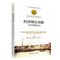 经济增长动能：干中学的启示（诺贝尔经济学奖获得者丛书）