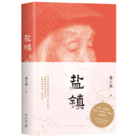 盐镇（“她们的命运里，有你所不了解的中国。”Di一本深度书写中国乡镇女性的生活与命运的佳作，罗新、梁鸿、李海鹏、许知远、伊险峰 赤诚推荐！