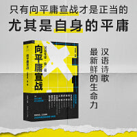 向平庸宣战：汉语先锋·第二辑