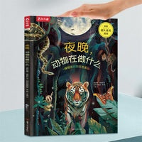 奇妙环球之旅系列 夜晚，动物在做什么 探秘夜间的生态系统