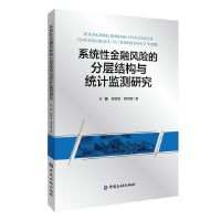 系统性金融风险的分层结构与统计监测研究