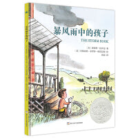 暴风雨中的孩子（奇想国童书）