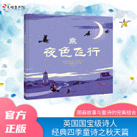 乘夜色飞行（新版）