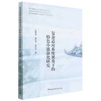 复杂适应系统视角下的特色小镇演化研究