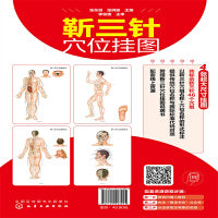 靳三针穴位挂图