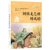钢铁是怎样炼成的（语文课推荐阅读丛书）
