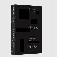 漆中之黑（杜可风的“探索之旅”，更是他写给电影的情书。）
