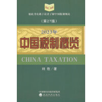 2023年中国税制概览