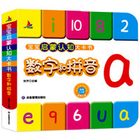 数字和拼音彩图注音版宝宝启蒙认知大卡书幼儿早教撕不烂玩具书