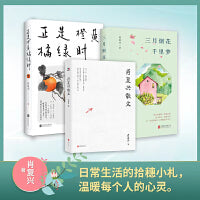 肖复兴致青春散文（共三册）