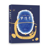 梦想号