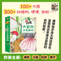 盛口满    大自然太有趣啦 （全4册）