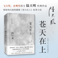 苍天在上（国家图书奖、飞天奖、金鹰奖得主陆天明经典作品，反腐题材电视剧《苍天在上》原著小说）