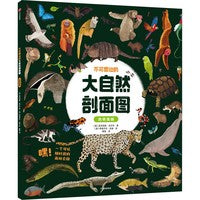 不可思议的大自然剖面图 热带雨林