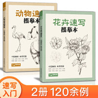 花卉+动物速写描摹本