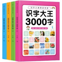 识字大王3000字全4册