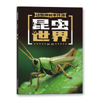 动物神秘事件簿 昆虫世界 少儿科普书 7-14岁