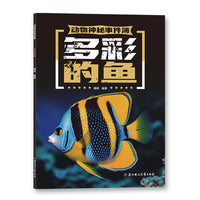 动物神秘事件簿 多彩的鱼 少儿科普书 7-14岁