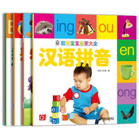 聪明宝宝启蒙大全（看图识字+数字字母+汉语拼音+智慧成语）