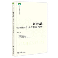 场景实践：中国特色社会工作理论体系的建构