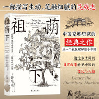 智慧宫丛书024·祖荫下：传统中国的亲属关系、人格和社会流动
