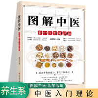 图解中医 看中医如何诊病 民间实用食养方中医养生书籍 中医养生 家庭偏方秘方养生书 家庭保健养生书籍 家庭养生  中老年保健养生书