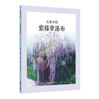 大家小绘系列：紫藤萝瀑布