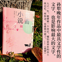 芸斋小说（孙犁著 芸斋文丛）