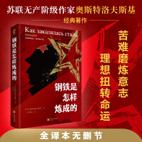 钢铁是怎样炼成的 八年级下推荐阅读