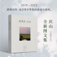 清冽的内在（庆山安妮宝贝2023全新图文集  以文字与镜像，记录人的内心，如何在日常生活中观察与理解自己、外围及发生,，并与这一切共存相处，美之安宁