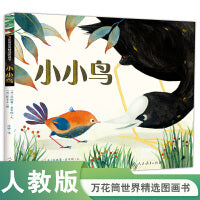 万花筒世界精选图画书·小小鸟