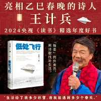 低处飞行（亮相春晚的外卖诗人王计兵诗集，2024央视《读书》精选年度好书）