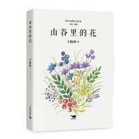 山谷里的花