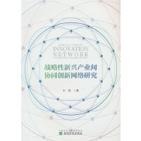 战略性新兴产业间协同创新网络研究