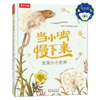 当小脚慢下来 发现小小世界3-6岁以上大自然科普百科读物精装绘本儿童注意力培养