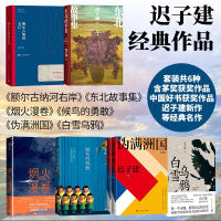 迟子建经典作品（套装共6种）