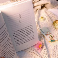 风月都好看，人间也浪漫：史铁生、汪曾祺、丰子恺、梁实秋等华语文坛十几位名家安顿心灵的顿悟之书。总有人间一两风，填我十万八千梦。